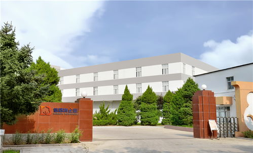 从“倍舒特”到“伍福春木业” 中国卫生巾产业变迁的一隅与一段极简史